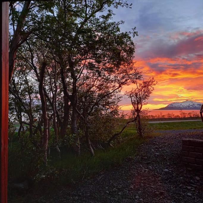 Þorsmoerk Farm 12 Min From Akureyri Apartment Svalbarthseyri Ngoại thất bức ảnh