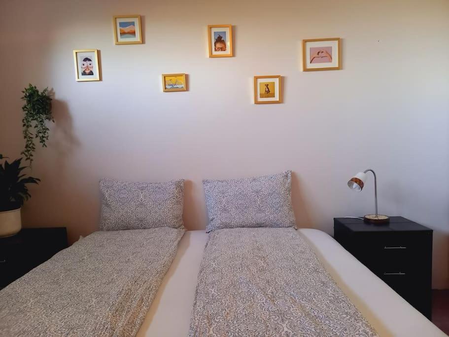 Þorsmoerk Farm 12 Min From Akureyri Apartment Svalbarthseyri Ngoại thất bức ảnh