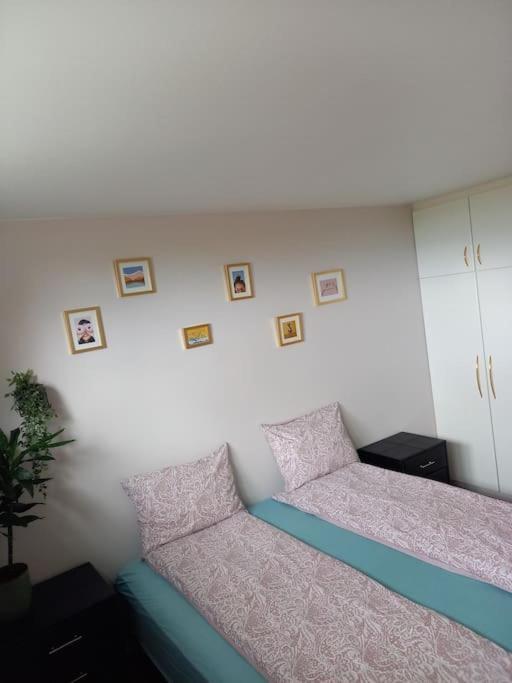 Þorsmoerk Farm 12 Min From Akureyri Apartment Svalbarthseyri Ngoại thất bức ảnh