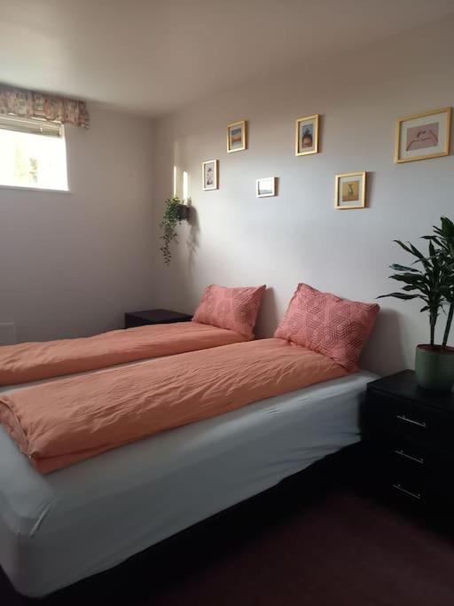Þorsmoerk Farm 12 Min From Akureyri Apartment Svalbarthseyri Ngoại thất bức ảnh